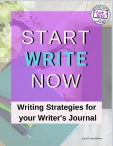 start-write-now-guide