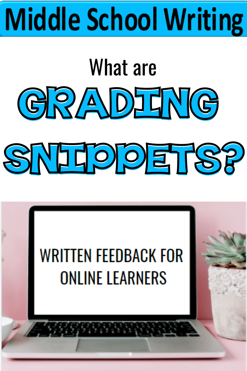 what-are-grading-snippets