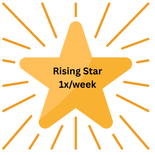 shows a star shining bright and says Rising Star 1x per week for tutoring writing